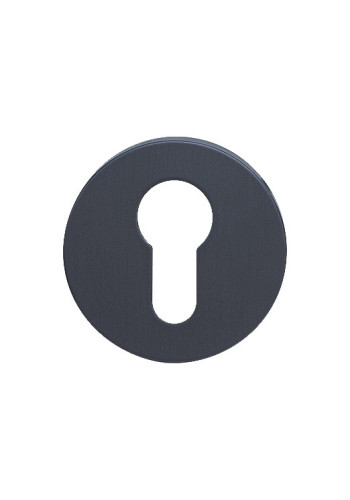 Накладка на ключевой цилиндр SILLUR CL PLATINUM GRAY (Платиново-серый, антибактериальное покрытие) Накладка на ключевой цилиндр SILLUR CL PLATINUM GRAY (Платиново-серый, антибактериальное покрытие)